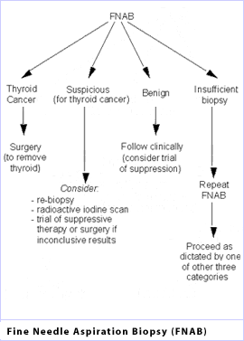 Thyroid Flow Chart